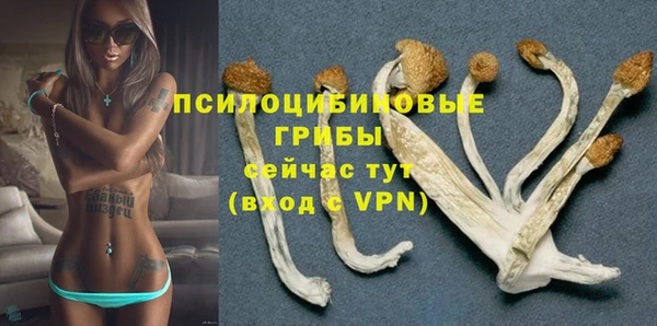 бошки Баксан