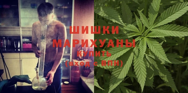 сатива Балахна