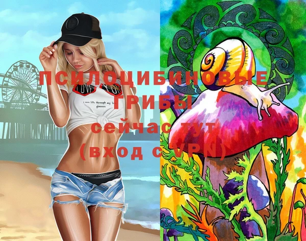сатива Балахна